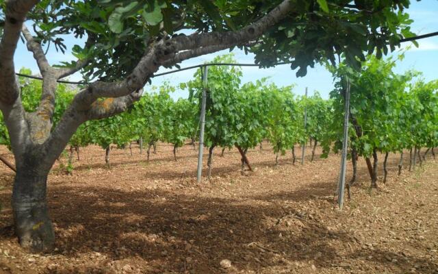 Residenza Rosa Maria Country House