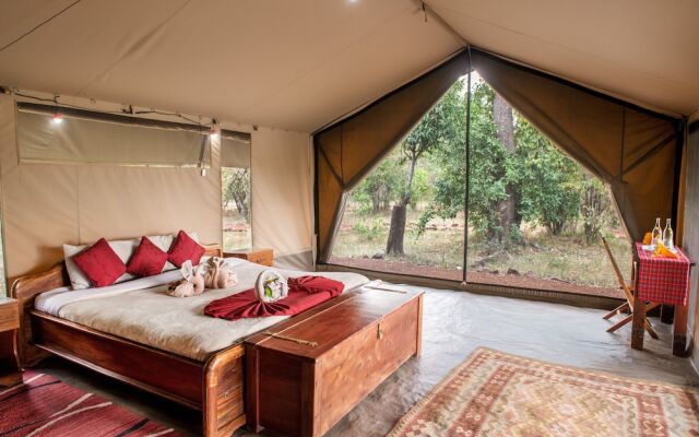 Hammerkop Migration Camp
