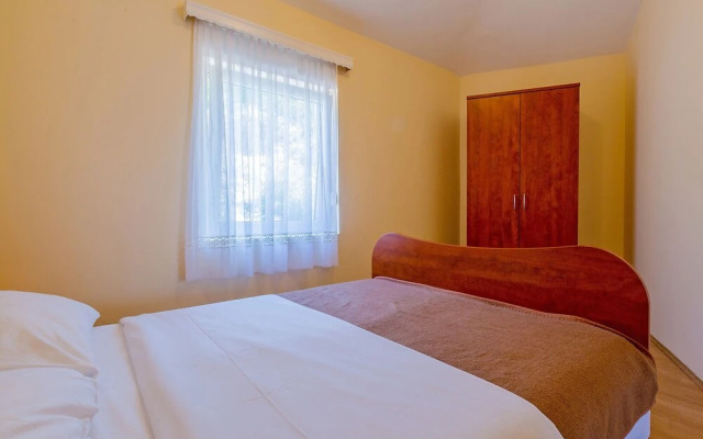 Delfin Cesarica in Cesarica