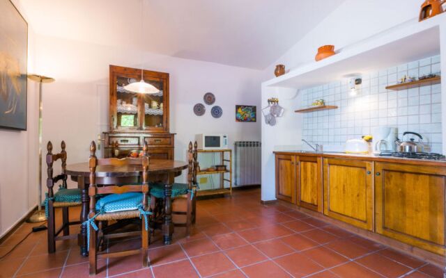 Bardeggiano - Caterina 6 (COL242)