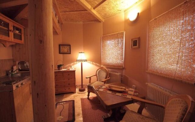 Art Apartments Minic
