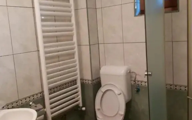 Casa De Vacanta Padis