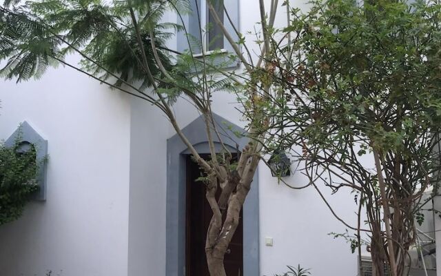 BO070 by Villaofsummer