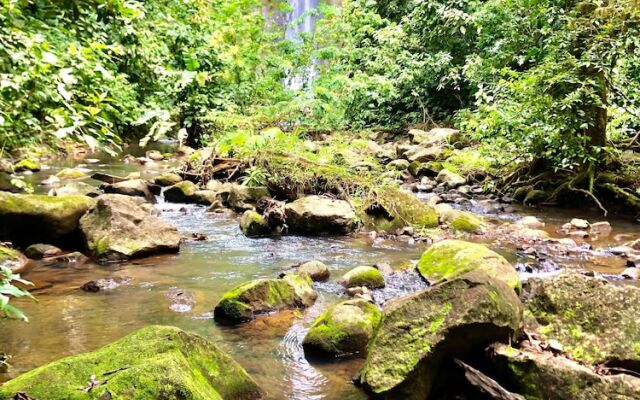 Faith Glamping Dome Costa Rica