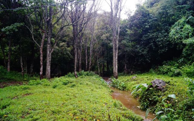 Secret Valley Jungle Resort