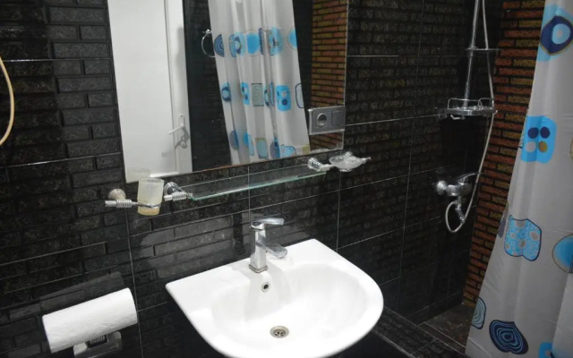 Entire Studio Apt In the Center Of Tbilisi