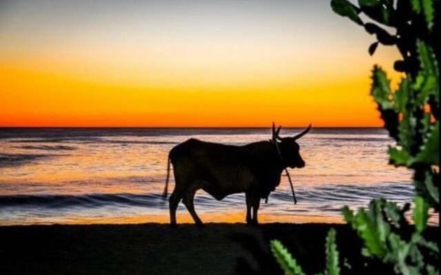 Hacienda Amarilla Del Mar