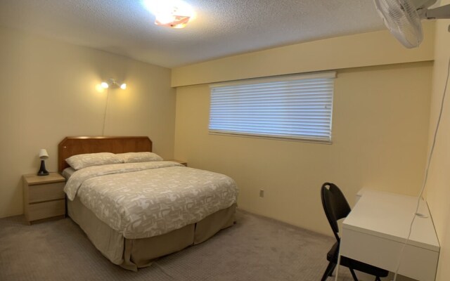 Old plum tree Style Suite