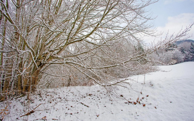 Ferienwohnung König