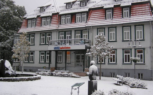 Hotel Opdensteinen