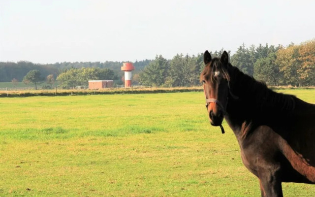 Westerheide Modern Retreat