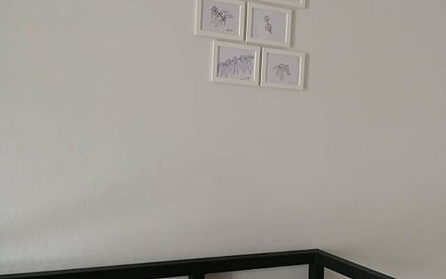 CHO Hostel and Sleep Box - Adults Only