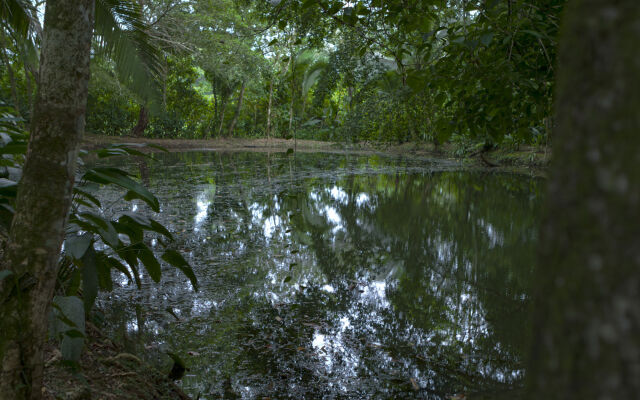 Ara Ambigua Lodge