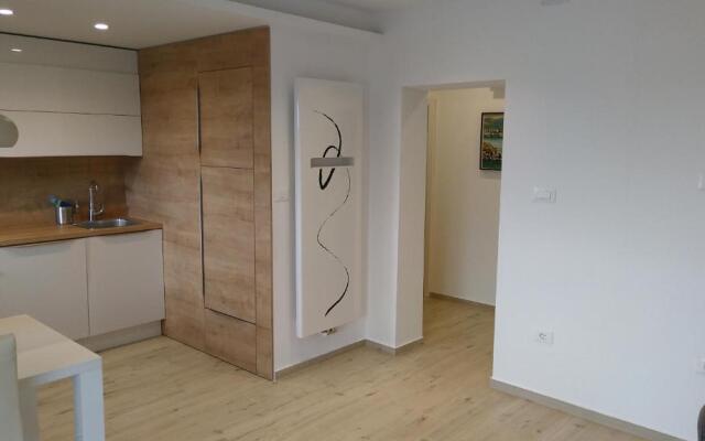 Apartments Ostanek 2