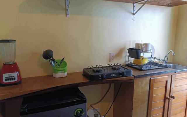 guiba. puerto escondido