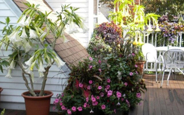 Mercury Hotel Provincetown