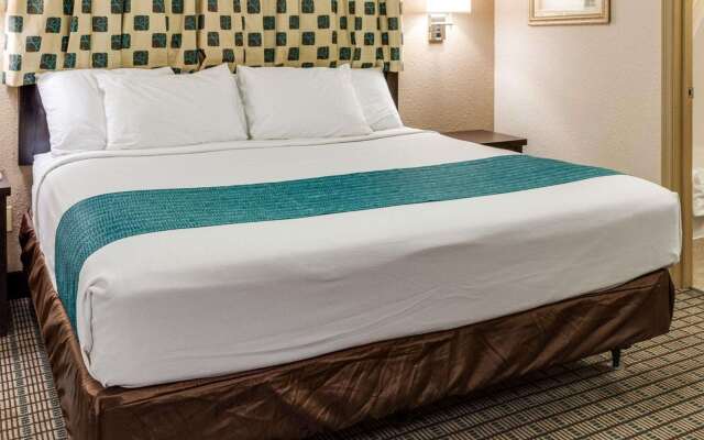 Suburban Studios Avondale