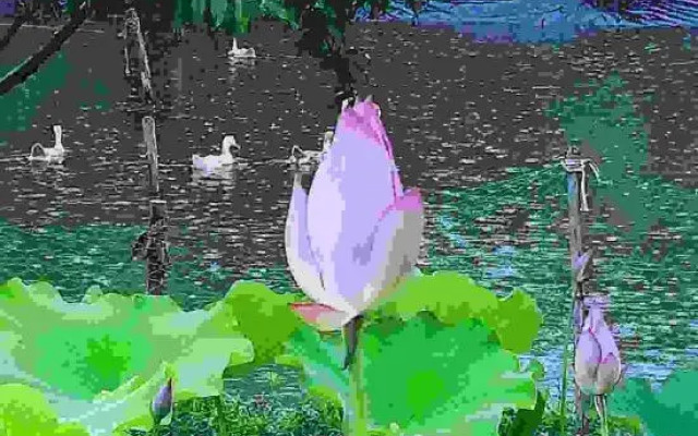 Xinchang makes great use of people's farm life