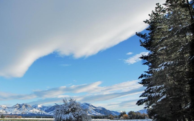 Woodbank Park Cottages – Outside – Hanmer Springs