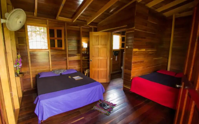 Alice Guesthouse