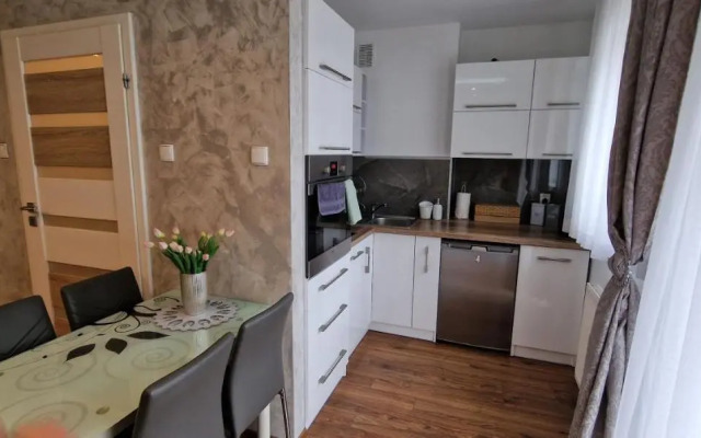 Apartament-Studio Polana Szaflarska