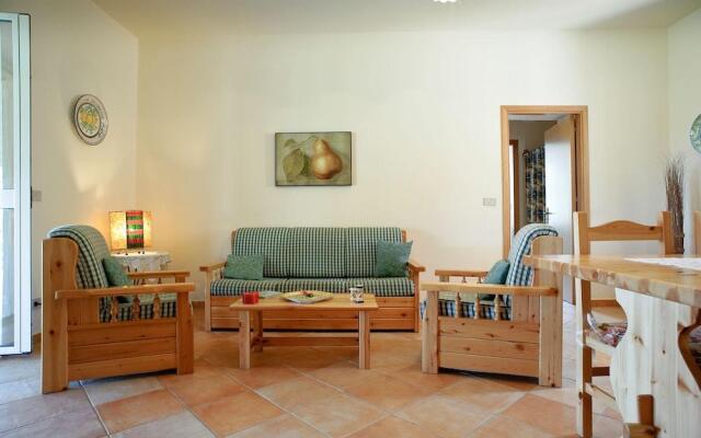 La Collina degli Ulivi