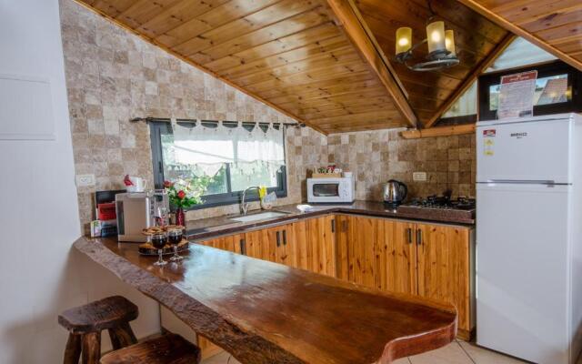 The Pearl of the Golan - Pnina BaGolan