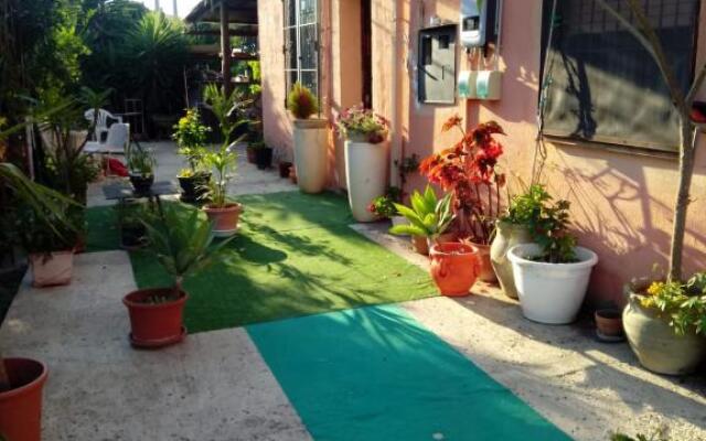 B B Casa Vacanze Il Pino Di Pino