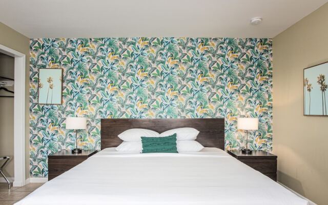 The Local - St. Augustine