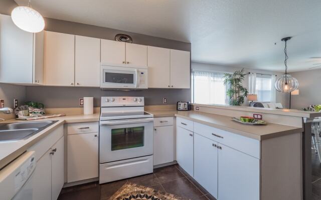 Campos Drive 1736 by White Pelican VR