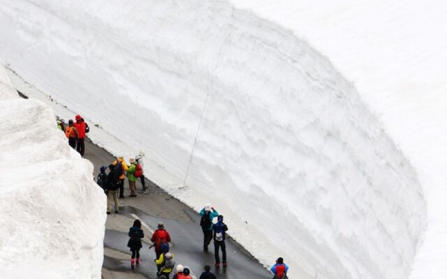 Shigakogen Milky Hot Spring Keikokunoyu