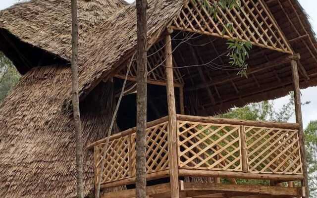 Ngorongoro economy Lodge