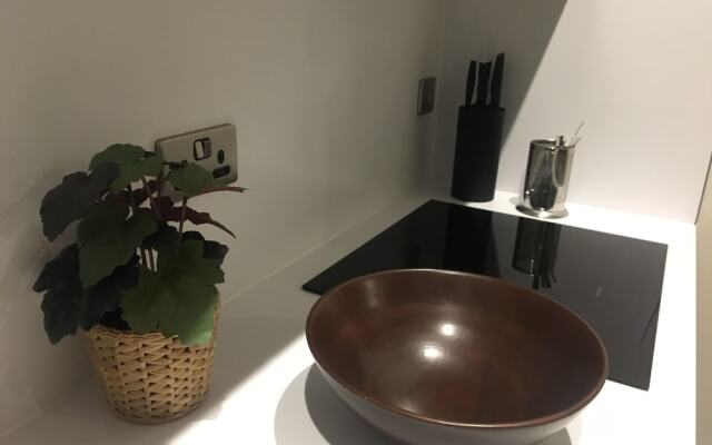 Central 1 BD Apartment