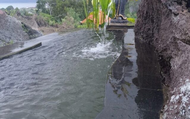 Onion Garden And Natural Hotspring