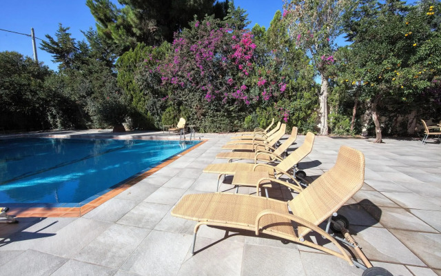Thomas Beach Hotel
