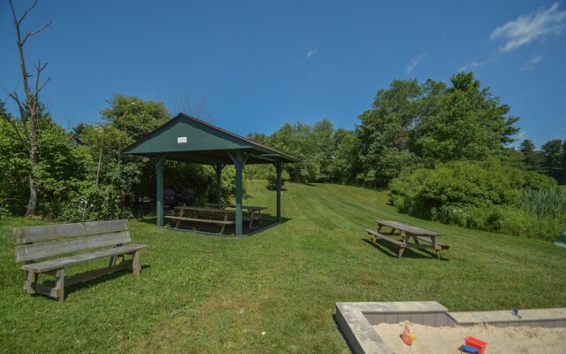 Runnin' Down a Dream