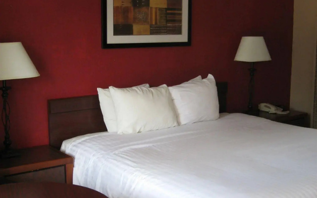 The L Motel - Downtown Flagstaff