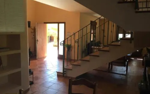 Mil Palmeras