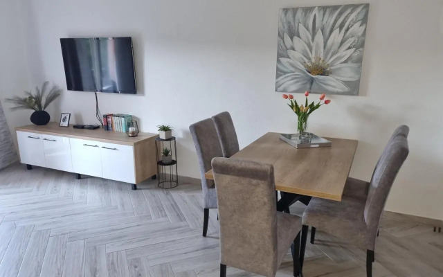 Apartments Ledic