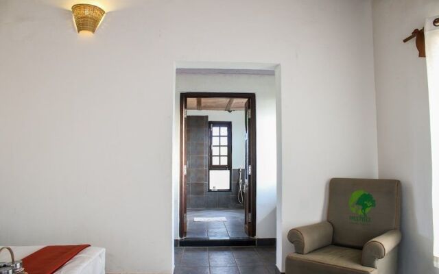 Beyond Stay Mahua Tola Tadoba