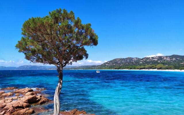 Bel Appartement T2 en Résidence avec piscine - Cala Rossa - Les Jardins d’Alzetu