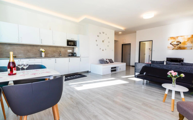 Modern apartments Brno-center