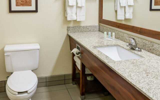 Comfort Suites Kansas City - Liberty