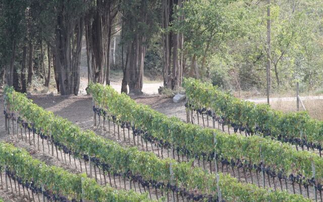 Agriturismo Il Poderuccio