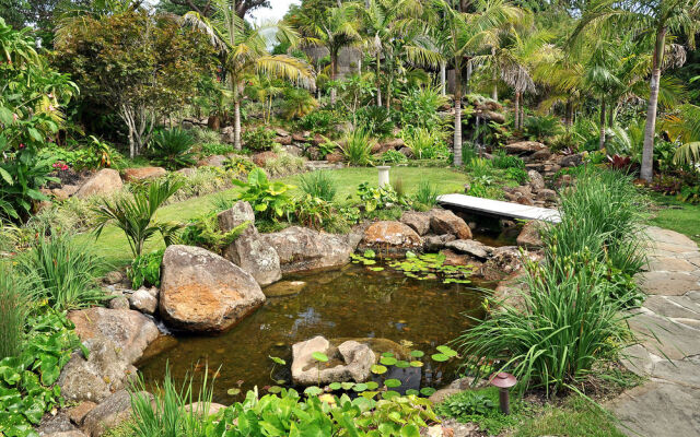 Sanctuary in the Cove