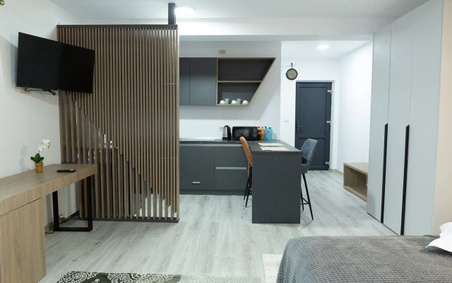 Frasin Studios-6 km to Voronet Monastery