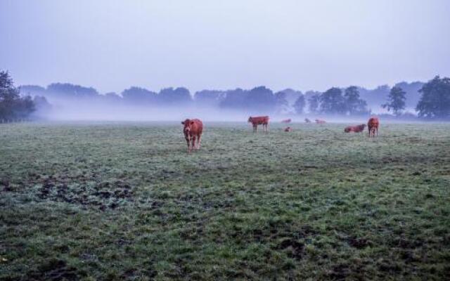 Het Findament