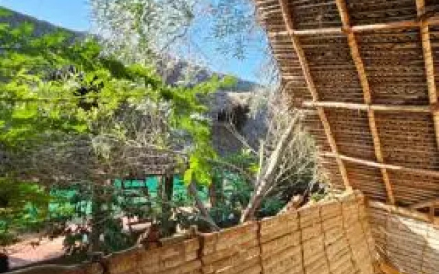Time Travellers Hostel