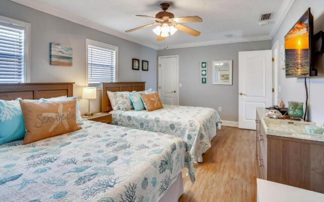 Sea Shell 14 - Premier