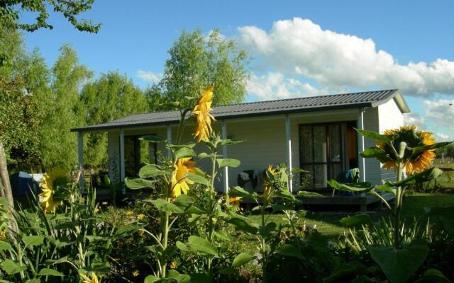 The White Elephant Accommodation - Hostel